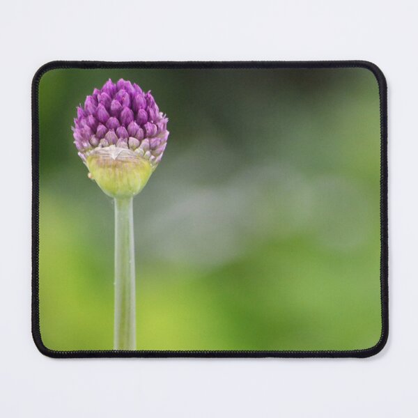 Item preview, Blossoming flower macro designed and sold by Esther Hutchcroft.