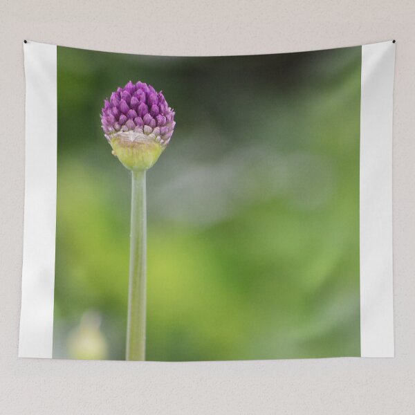 Item preview, Blossoming flower macro designed and sold by Esther Hutchcroft.