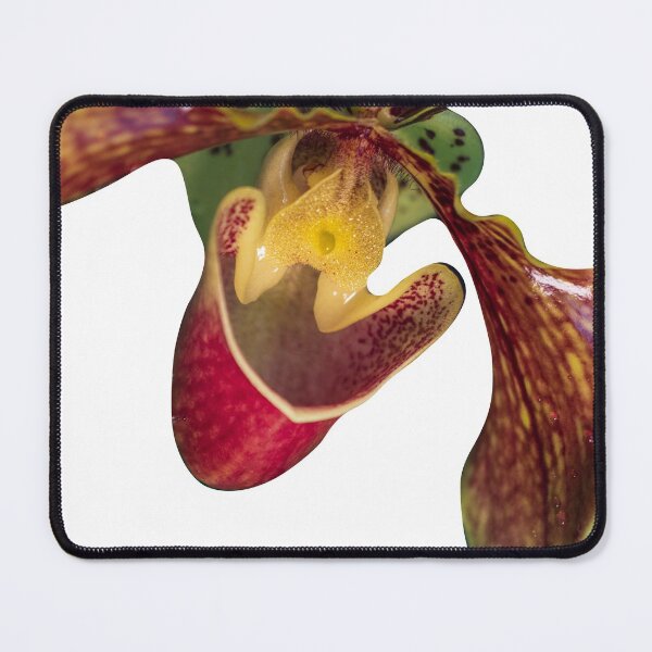 Zauberhafte Orchideen Mauspad