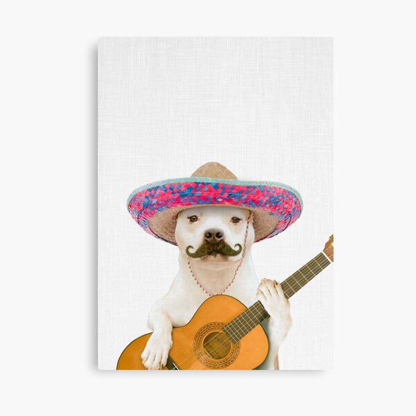 Dog Guitarist Canvas Print