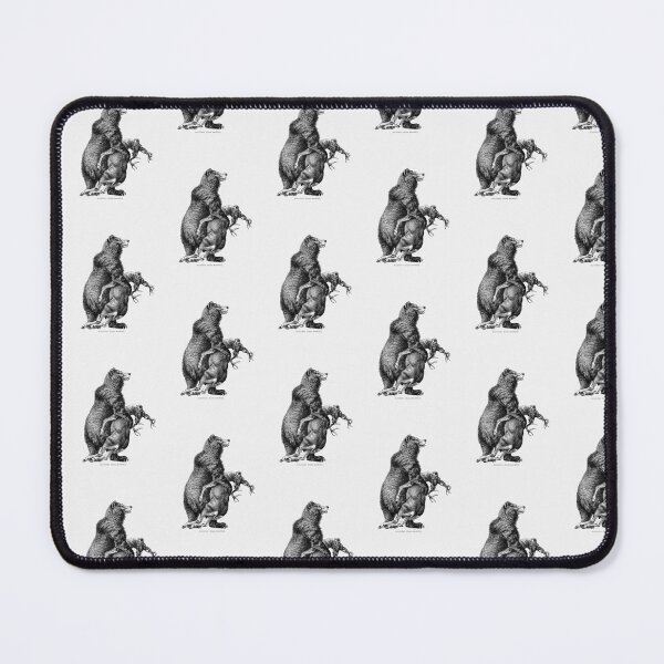 Item preview, Grizzly bear from Amerika: Eine Allgemeine Landeskunde (1894)  designed and sold by Nikiolilalala.