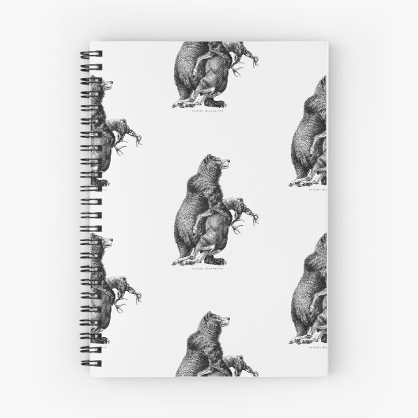 Item preview, Grizzly bear from Amerika: Eine Allgemeine Landeskunde (1894)  designed and sold by Nikiolilalala.