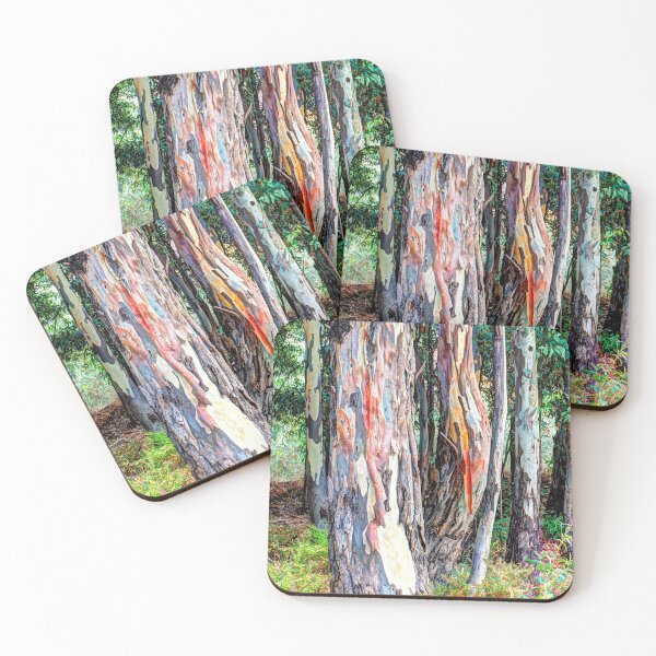 Item preview, Bent stem eucalyptus trees with colourful bark designed and sold by janesg.