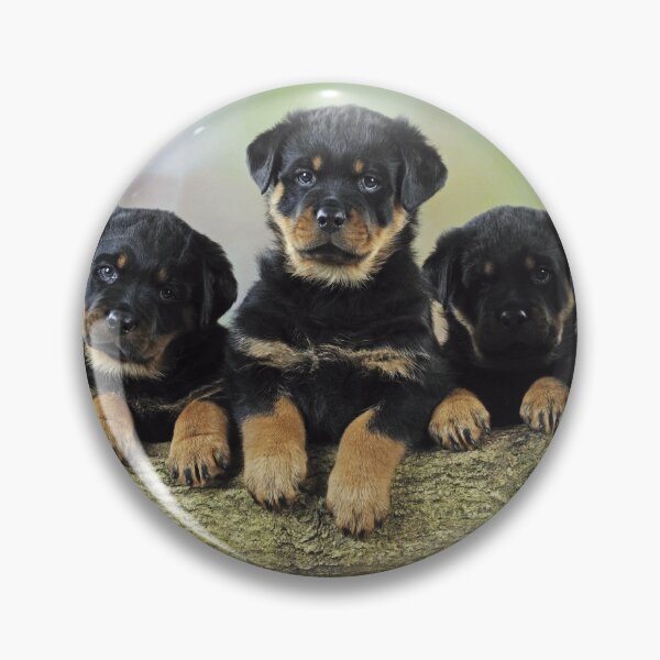 Item preview, Group of Rottweiler Puppy Dogs on a Log designed and sold by ScienceSource.