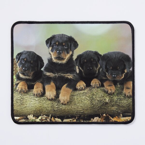 Item preview, Group of Rottweiler Puppy Dogs on a Log designed and sold by ScienceSource.