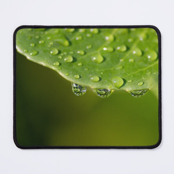 Item preview, Do you feel the refreshing summer rain? designed and sold by Your Happy Life.