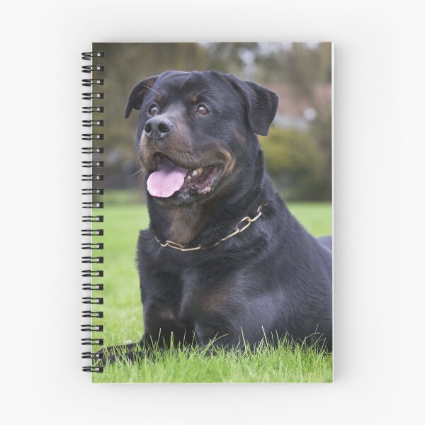 Item preview, Adult Rottweiler Dog  Laying in the Grass designed and sold by ScienceSource.
