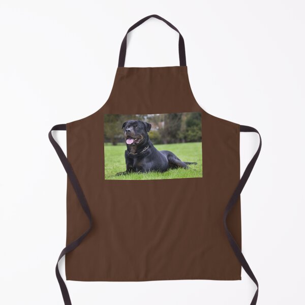 Item preview, Adult Rottweiler Dog Laying in the Grass designed and sold by ScienceSource.