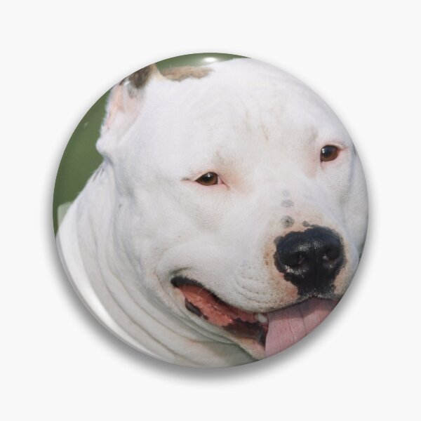 Item preview, American Staffordshire Bull Terrier. designed and sold by ScienceSource.
