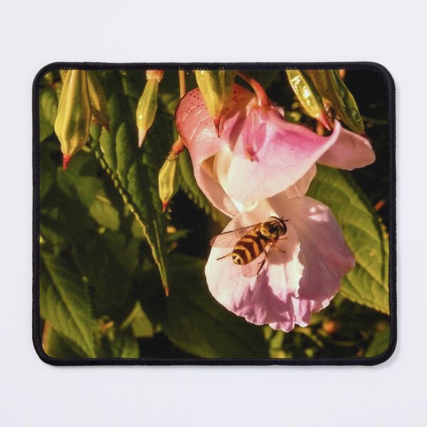 Item preview, Looking - A View  designed and sold by Carl Gaynor.