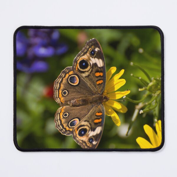 Item preview, Buckeye butterfly on flower designed and sold by Zina Stromberg.