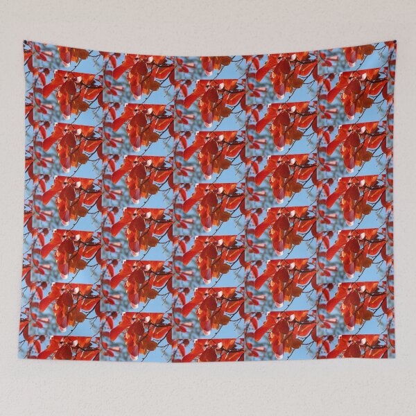 Item preview, Colours, Crepe Myrtle in Autumn, Tumut, Australia. designed and sold by kaysharp.