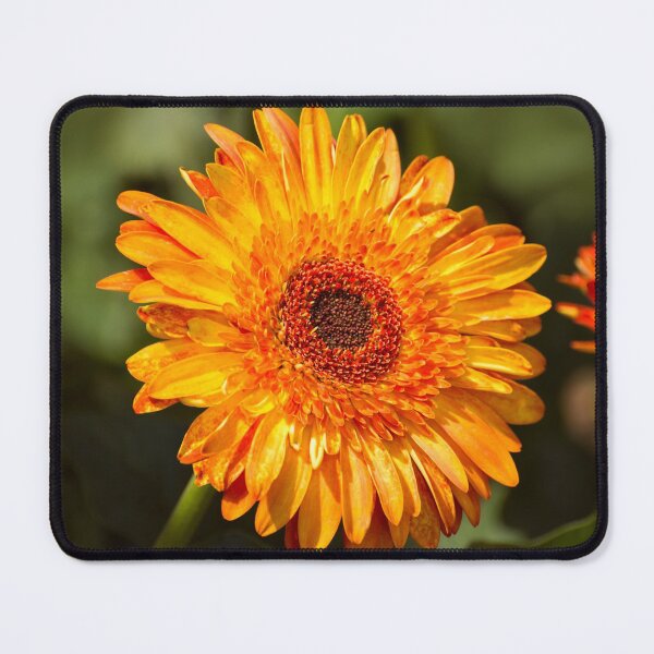 Item preview, Orange Gerbera designed and sold by Zina Stromberg.