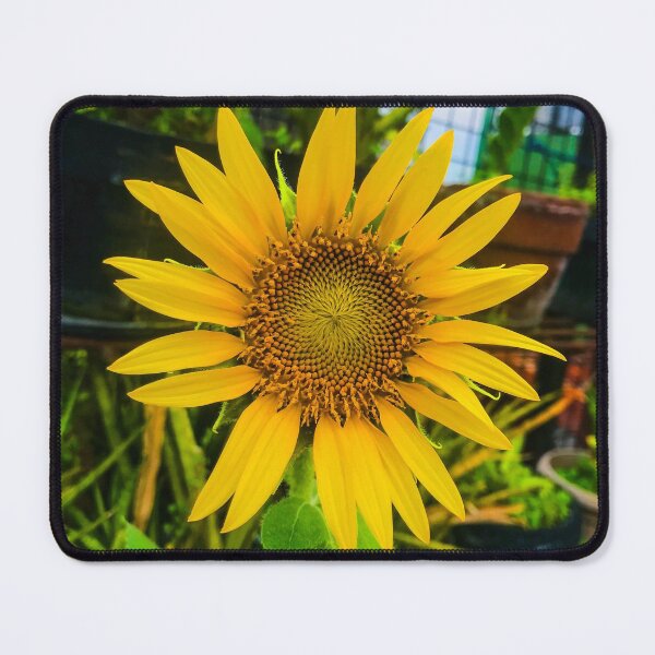 Item preview, Sunflower designed and sold by jamsantos.