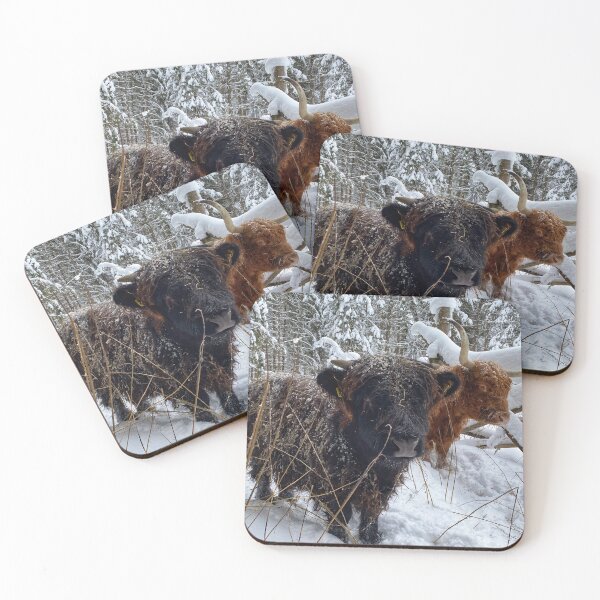 Item preview, Scottish Highland Cattle Calf and Cow in snow 2711 designed and sold by SaarelaHighland.