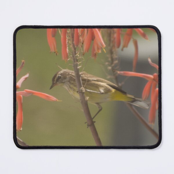 Item preview, Warbler On Aloe Flower designed and sold by Zina Stromberg.