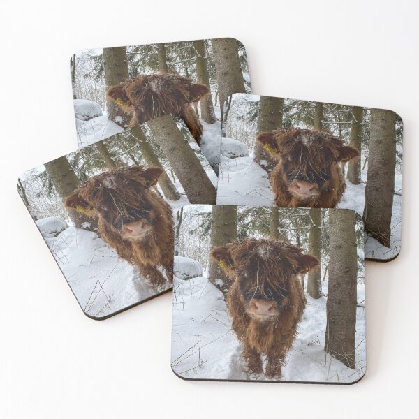 Item preview, Scottish Highland Cattle Calf in snow 2712 designed and sold by SaarelaHighland.