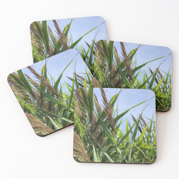 Item preview, Reed Criss Cross designed and sold by South Bay Storyteller .