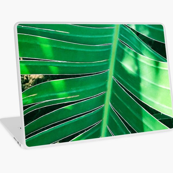 Palm Leaf Laptop Skins for Sale | Redbubble
