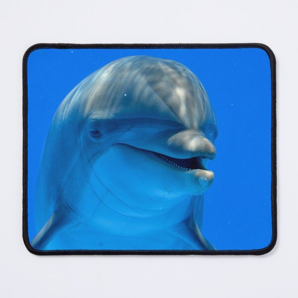 Item preview, Smiling Happy Dolphin designed and sold by richardbryce.