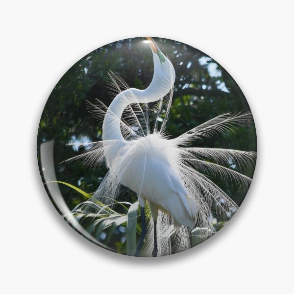 Item preview, Great Egret Beauty in the Dance designed and sold by richardbryce.