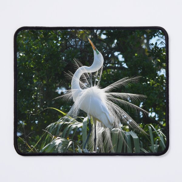 Item preview, Great Egret Beauty in the Dance designed and sold by richardbryce.