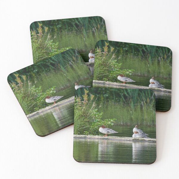 Item preview, The Sleeping Goosanders designed and sold by Jouko Lehto Photography.
