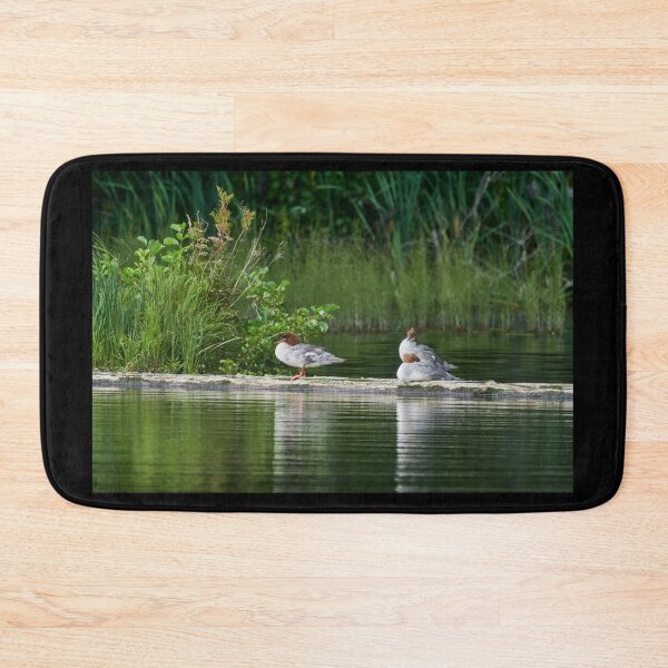 Item preview, The Sleeping Goosanders designed and sold by Jouko Lehto Photography.