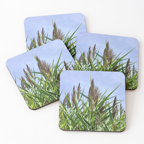 Item preview, Reed Stance designed and sold by South Bay Storyteller .