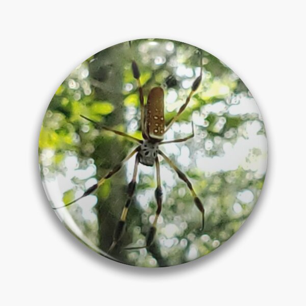 Artikelvorschau, Goldene Seidenkugelweberin entworfen und verkauft von Bugs and Rockets.