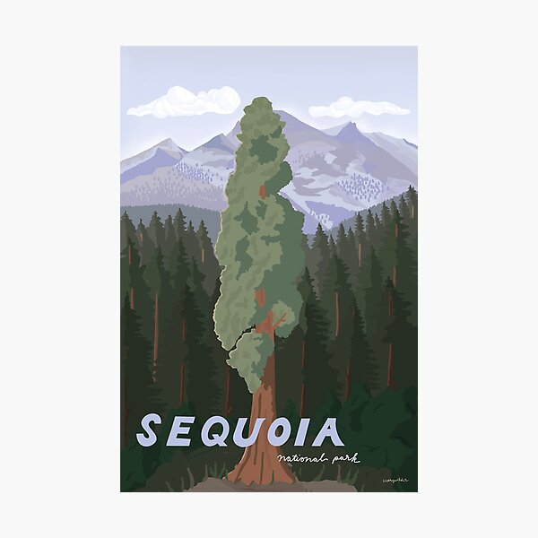 Item preview, Sequoia National Park, Illustrated, Northern California, Redwoods Illustration designed and sold by marywilder.