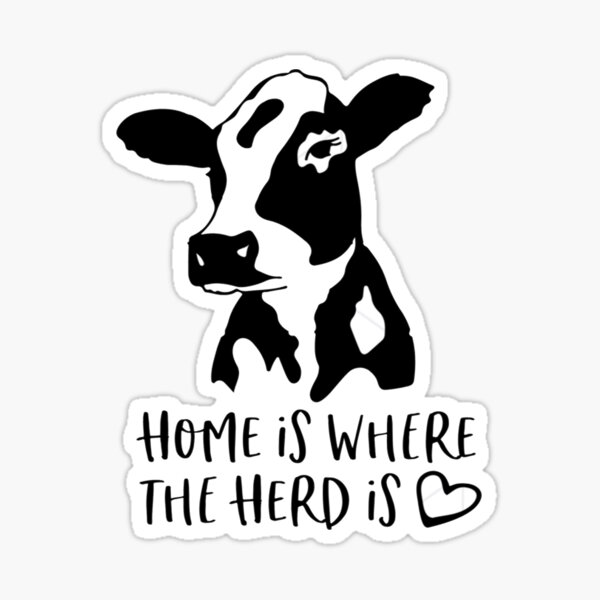 home-is-where-my-herd-is-gift-for-cow-lovers-cow-owners-sticker-for-sale-by-printswipe