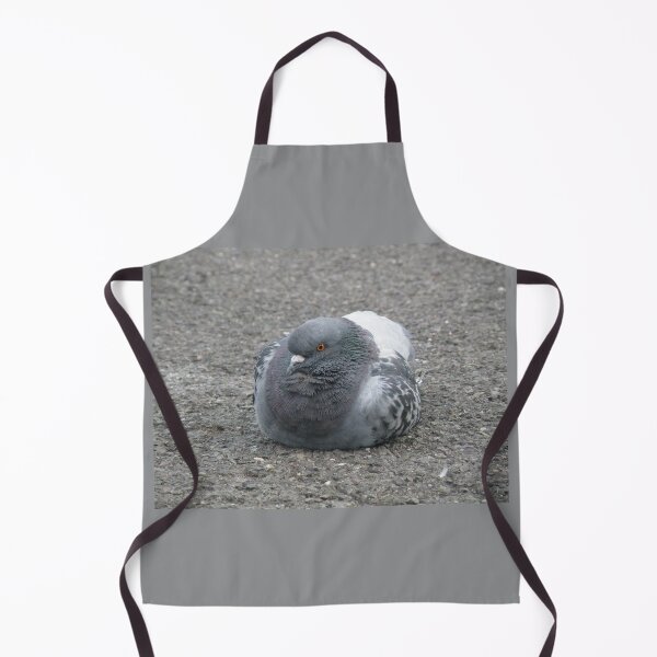 Item preview, London Pigeon Resting on a Path Photograph designed and sold by naturegallery.