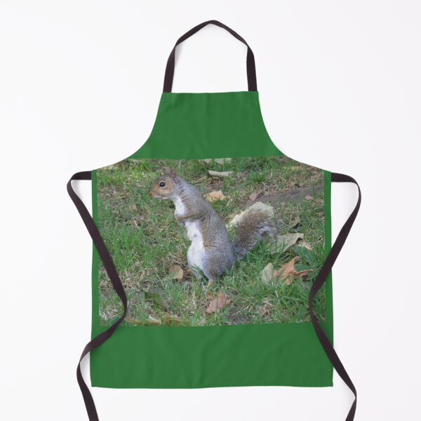 Item preview, Cute Female Squirrel with Paws on Belly Photograph designed and sold by naturegallery.