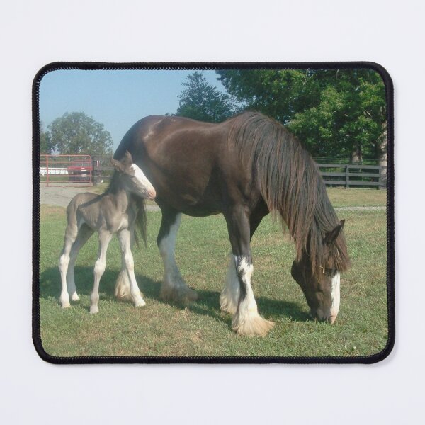 Item preview, A Mother & Baby Clydesdale designed and sold by Brenroco.