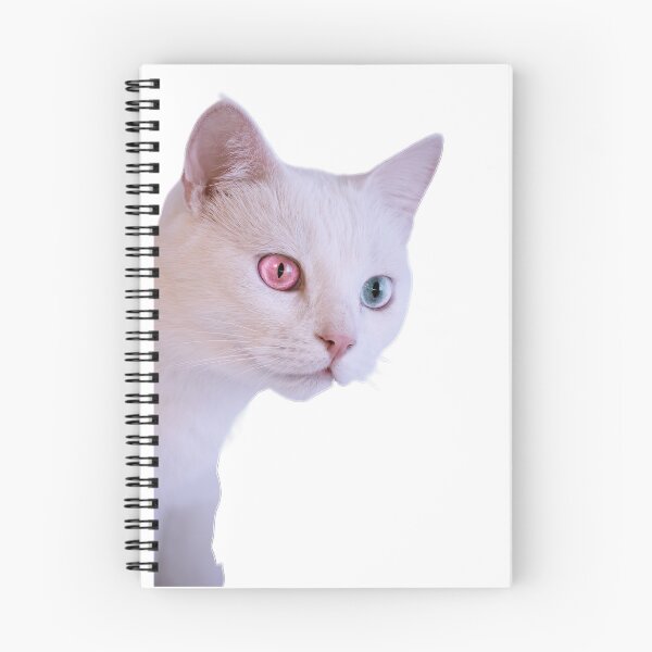 Item preview, kitten love -cats pack sticker awesome designed and sold by topartiste.