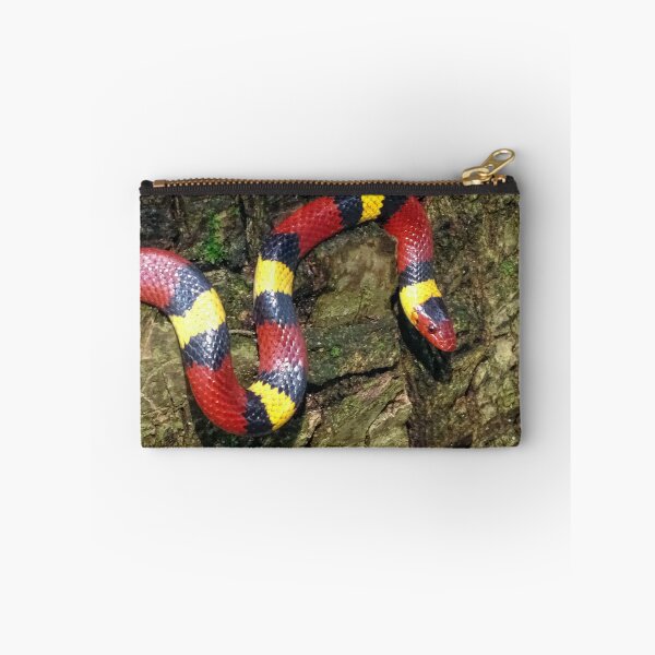 Item preview, #001. scarlet kingsnake  designed and sold by Jeffrey Mask.