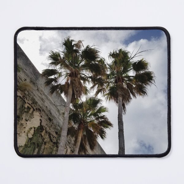Item preview, A different view of building in Bermuda designed and sold by Brenroco.