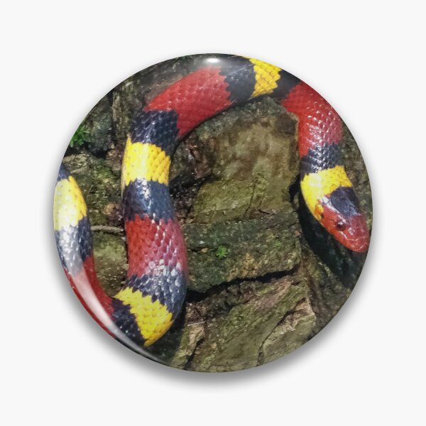 Item preview, #001. scarlet kingsnake  designed and sold by Jeffrey Mask.