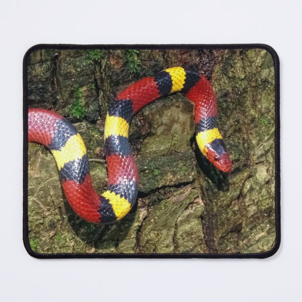 Item preview, #001. scarlet kingsnake designed and sold by Jeffrey Mask.
