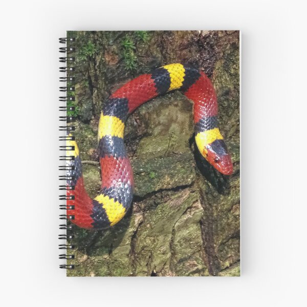 Item preview, #001. scarlet kingsnake designed and sold by Jeffrey Mask.