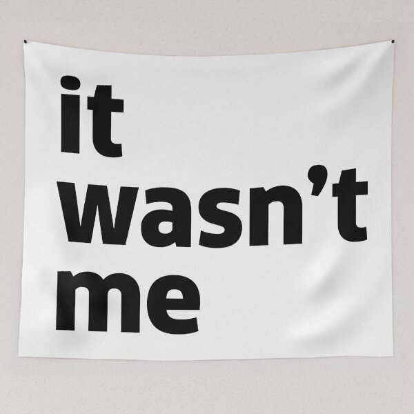 Item preview, it wasn't me designed and sold by Styllz.