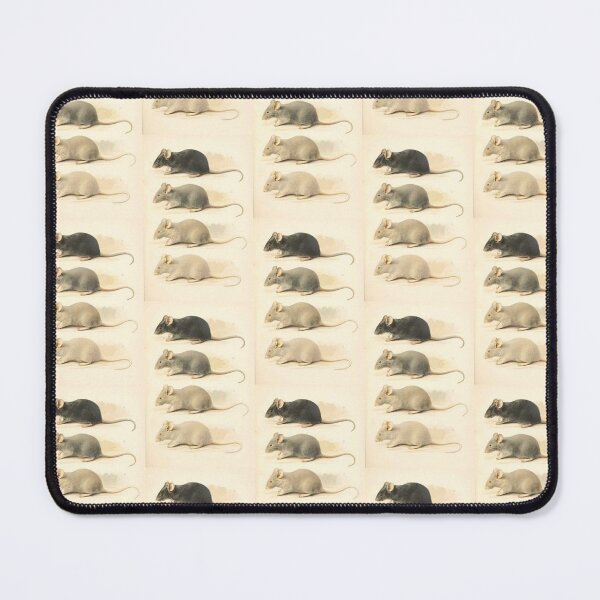Item preview, Vintage Mouse Scientific Illustration designed and sold by BlueSpecsStudio.