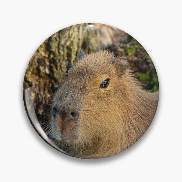 Item preview, Just watching the world go by designed and sold by Dalyndigital Photography.