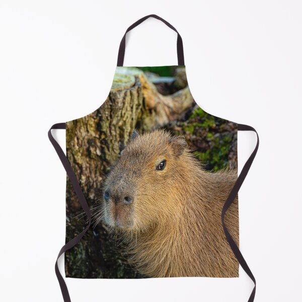Item preview, Just watching the world go by designed and sold by Dalyndigital Photography.