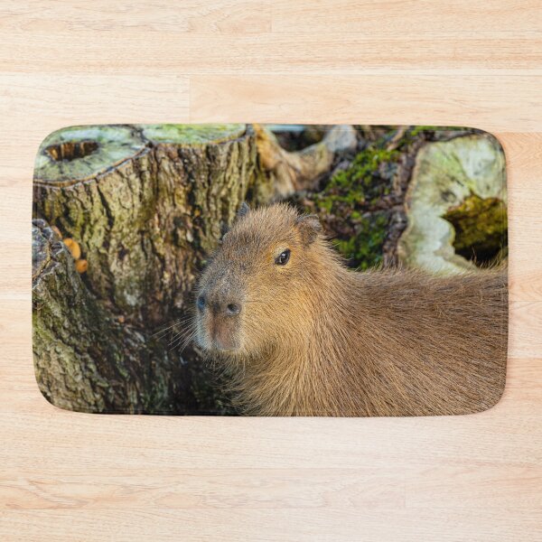 Item preview, Just watching the world go by designed and sold by Dalyndigital Photography.