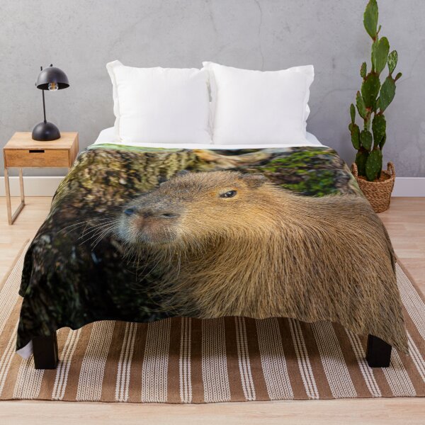 Item preview, Just watching the world go by designed and sold by Dalyndigital Photography.
