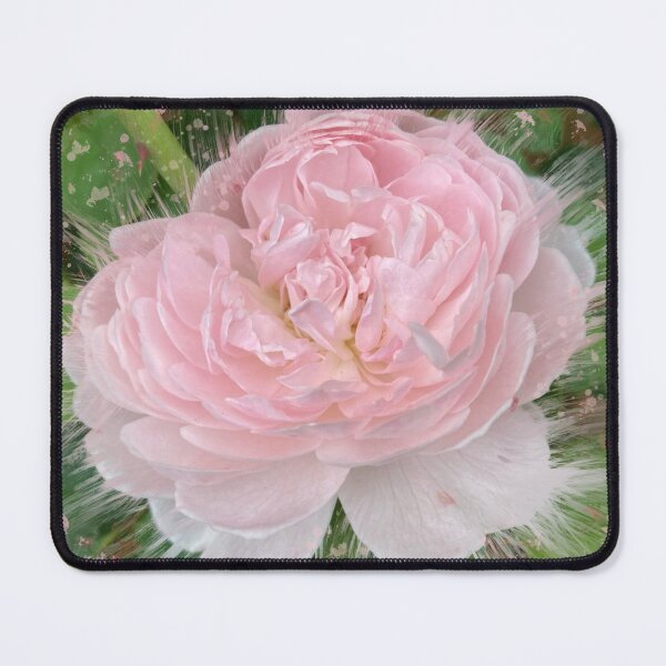 Item preview, Rose Burst Mixed Media designed and sold by OByD.