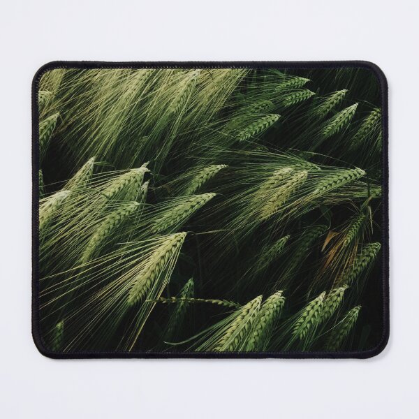 Item preview, Wheat - The Amber Waves of Grain designed and sold by Gilby-Designs.