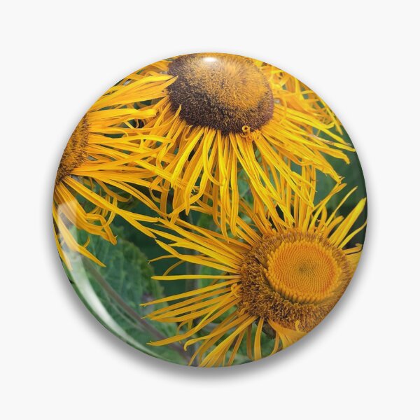 Item preview, A frame full of Inula Sunflowers designed and sold by Violaman.